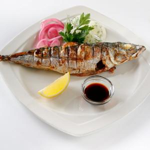 Скумбрия